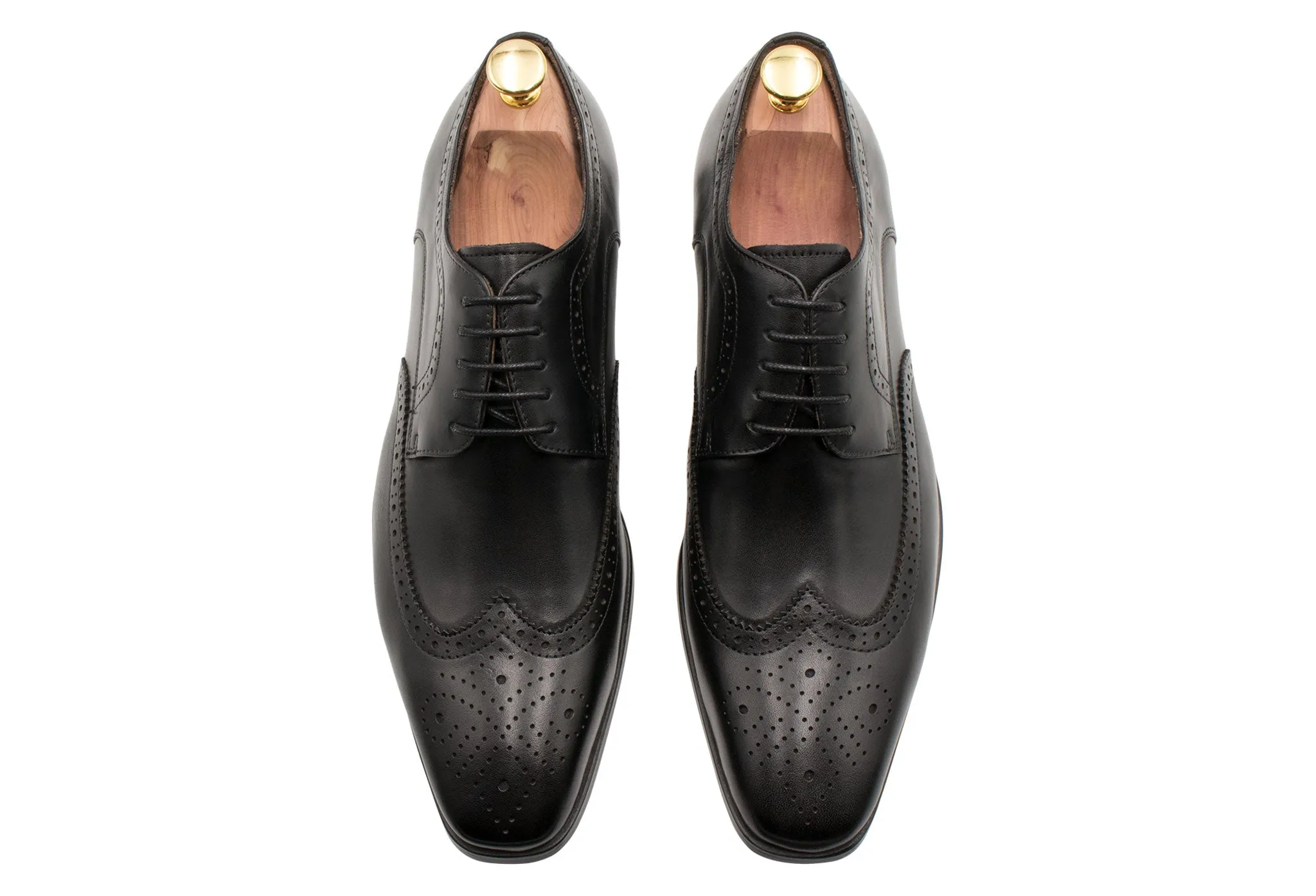 Caseros Wingtip Black Derby