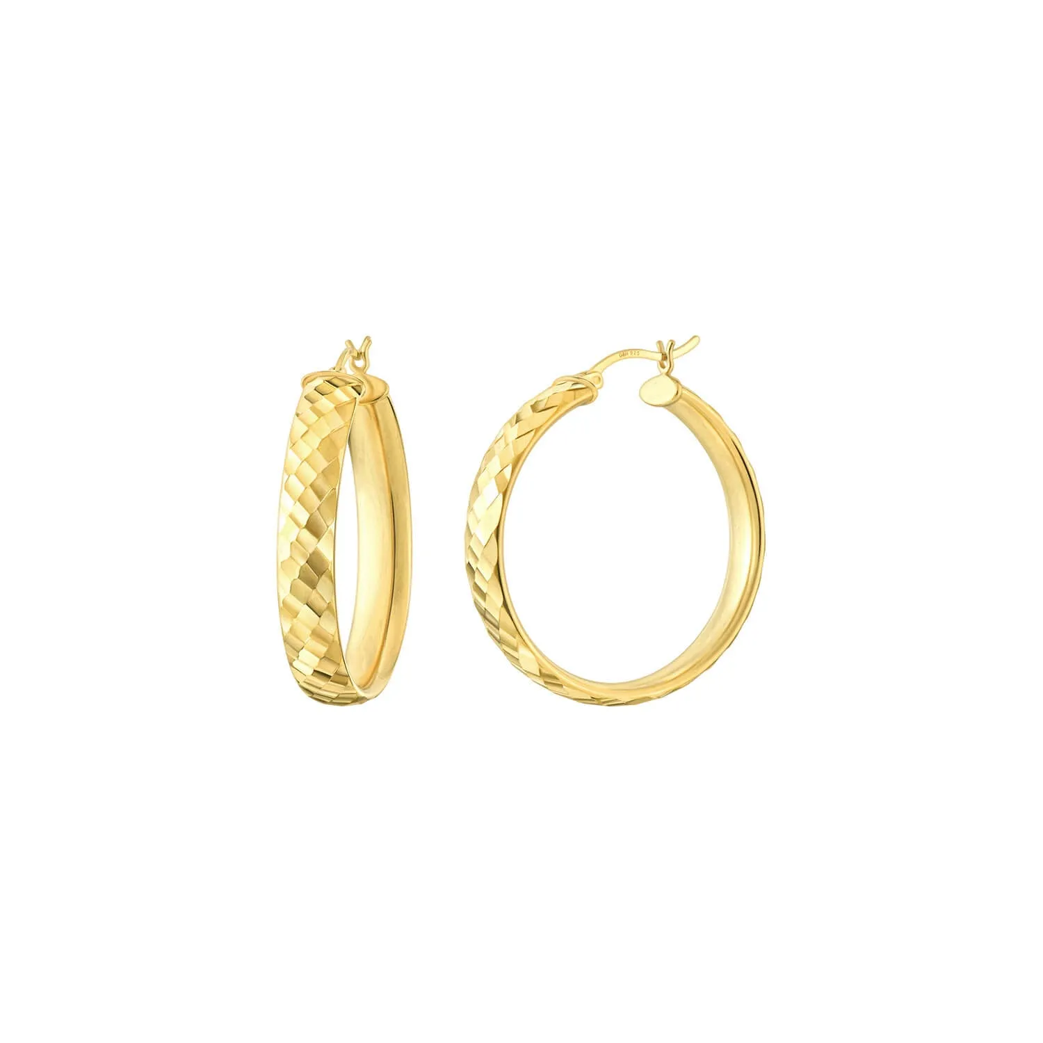 Enamel Hammered Hoop Earrings