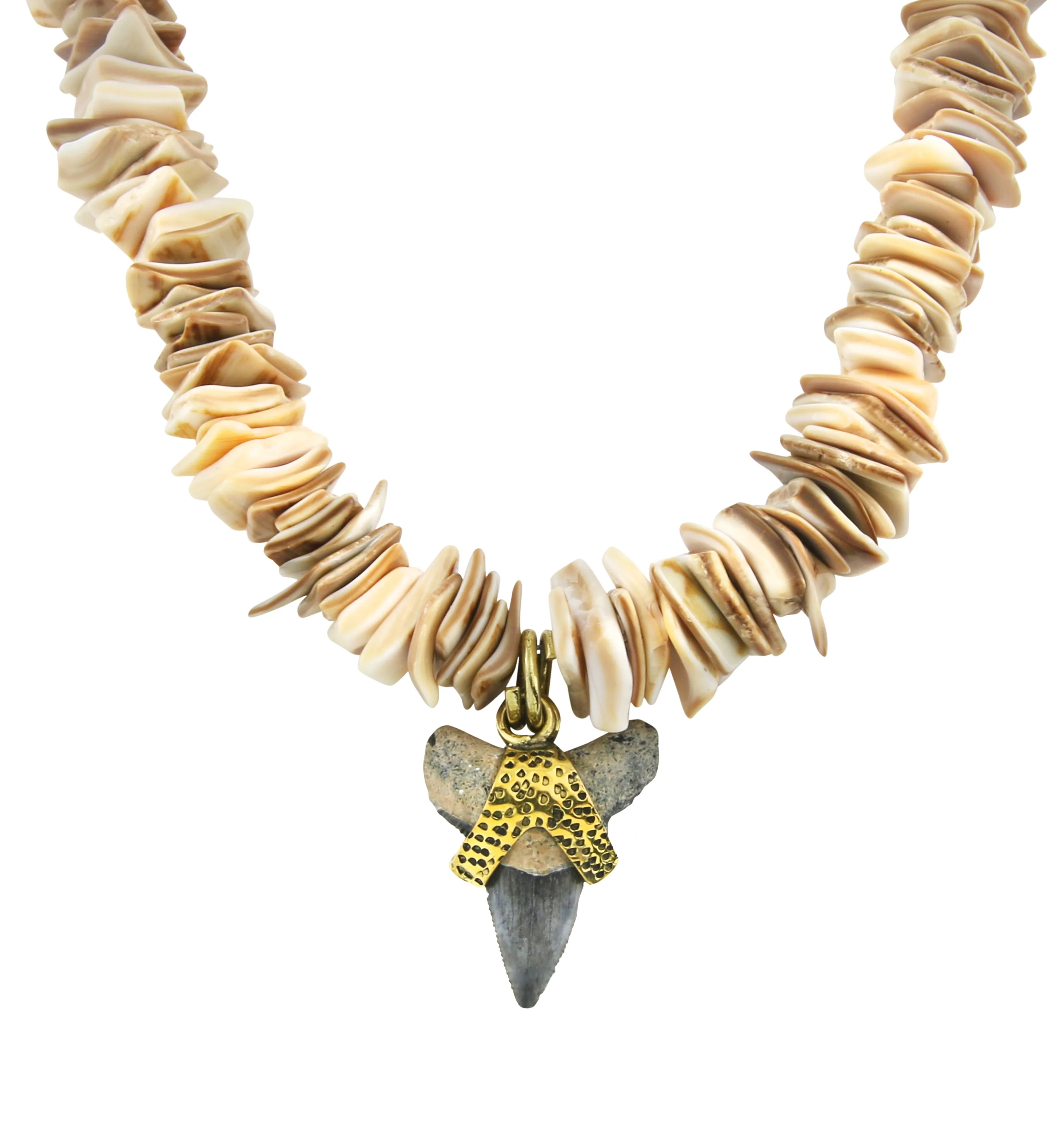 Fossilized Shark Tooth Flat Seashell Necklace