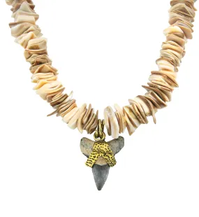 Fossilized Shark Tooth Flat Seashell Necklace